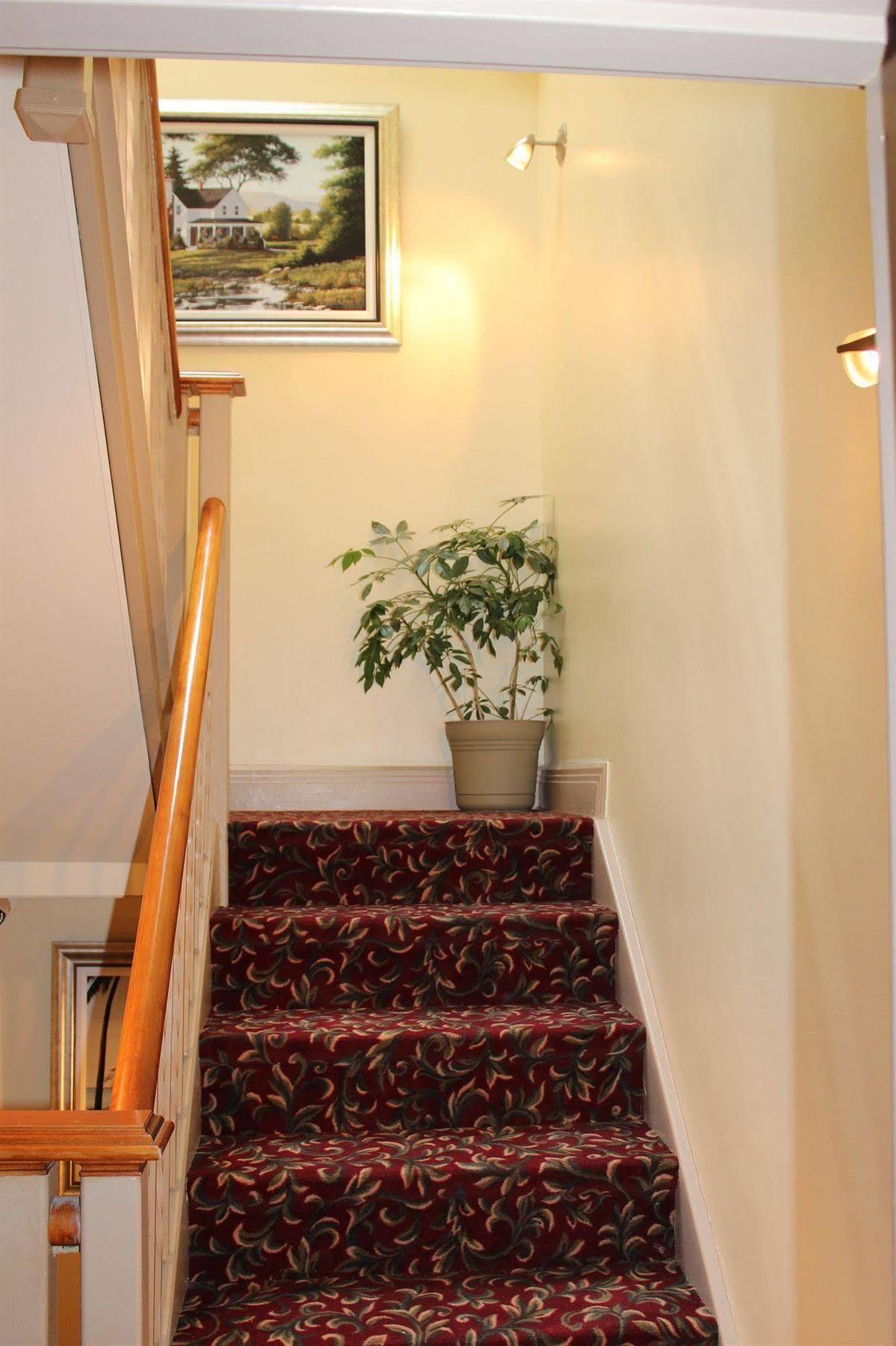 Le Saint-Malo Hotel Montréal Buitenkant foto